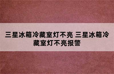 三星冰箱冷藏室灯不亮 三星冰箱冷藏室灯不亮报警